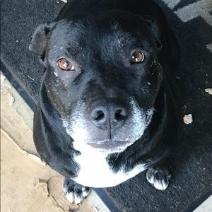 Meet your Posher, Brian